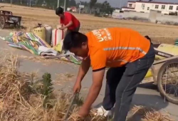收麦子视频,收麦子视频背后的故事
